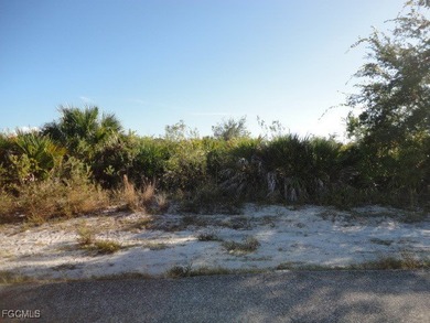 Lehigh Acres Area Lot For Sale in Lehigh Acres Florida
