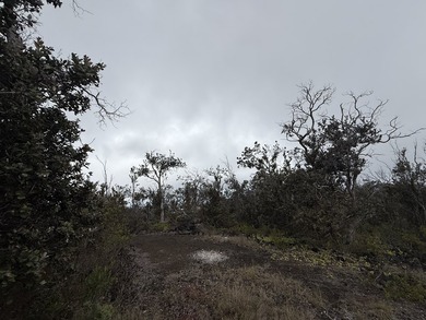 Discover unmatched potential elevated views from this 1-acre - photo 11