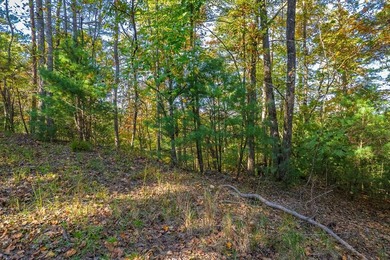 Coosawattee River - Gilmer County Lot For Sale in Ellijay Georgia