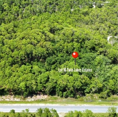 Welcome to lot 16 of Twin Lakes Estates, a newly platted - photo 2