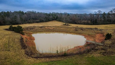 Incredible location only 5-8 minutes from hospital and shopping - photo 38