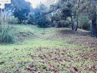 Build your dream home in the prestigious Oakland Hills! This 0 - photo 4