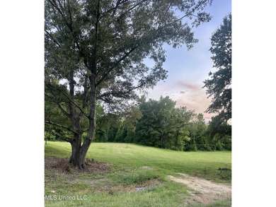 (private lake, pond, creek) Acreage For Sale in Flora Mississippi