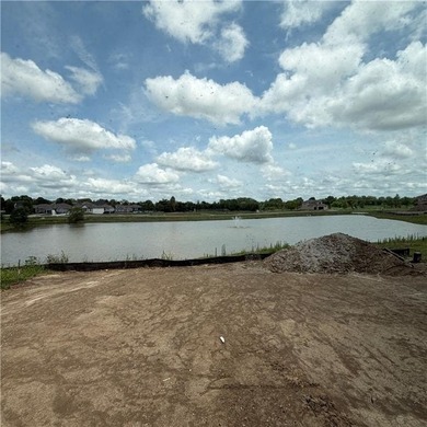 The Meadow at Greenfields newest reverse plan is now being built - photo 6