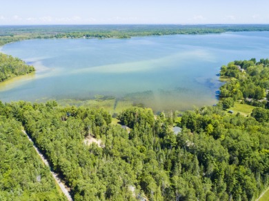 Long Lake - Presque Isle county Acreage For Sale in Alpena Michigan