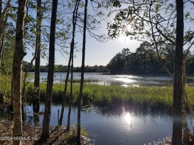 (private lake, pond, creek) Home For Sale in Crescent City Florida