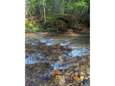 (private lake, pond, coastal) Home For Sale in Cherry Log Georgia