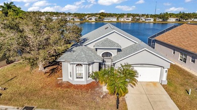 Port Charlotte Waterway Area Home For Sale in Punta Gorda Florida