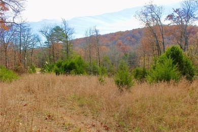 (private lake, pond, creek) Acreage For Sale in Huntsville Arkansas