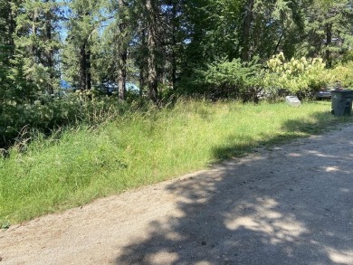 Lake Lot For Sale in Loon Lake, Washington