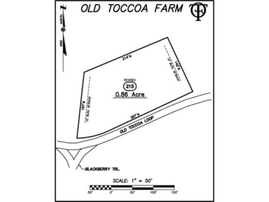 Toccoa River - Fannin County Lot For Sale in Mineral Bluff Georgia