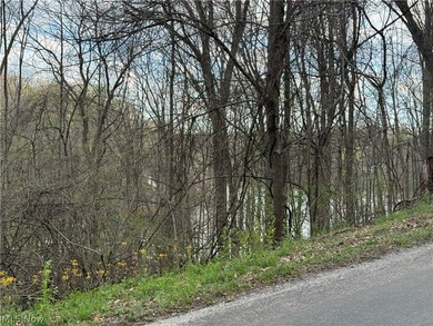 Wonderful building site of 4 lots very near popular Recreational - photo 12