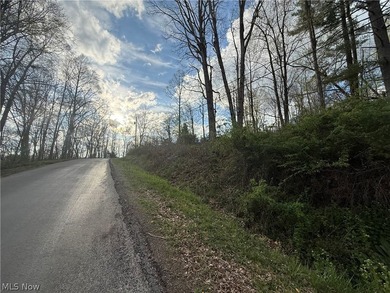 Wonderful building site of 4 lots very near popular Recreational - photo 13