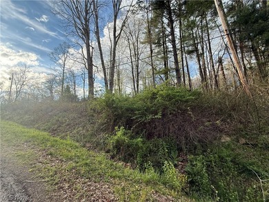 Wonderful building site of 4 lots very near popular Recreational - photo 14