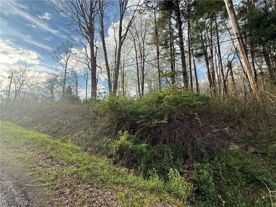 Wonderful building site of 4 lots very near popular Recreational - photo 15