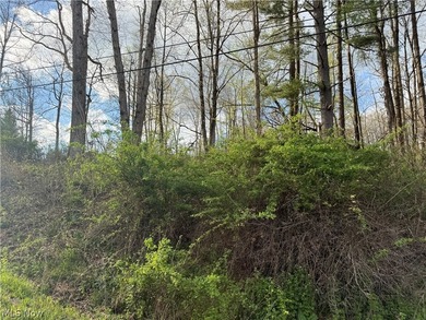 Wonderful building site of 4 lots very near popular Recreational - photo 16