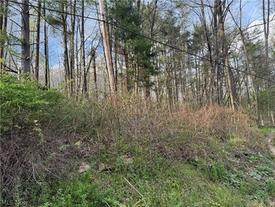 Wonderful building site of 4 lots very near popular Recreational - photo 17