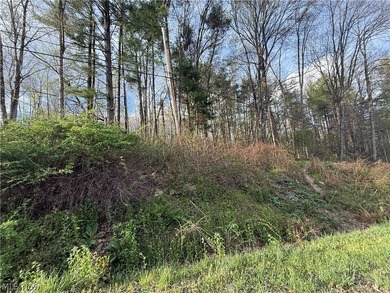 Wonderful building site of 4 lots very near popular Recreational - photo 18