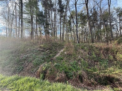 Wonderful building site of 4 lots very near popular Recreational - photo 19