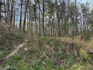 Wonderful building site of 4 lots very near popular Recreational - photo 20