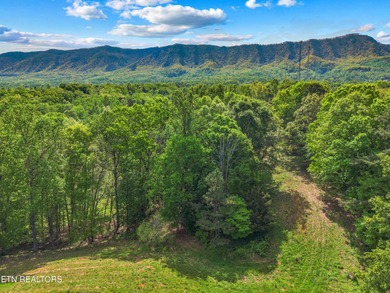 Lake Acreage For Sale in Dandridge, Tennessee