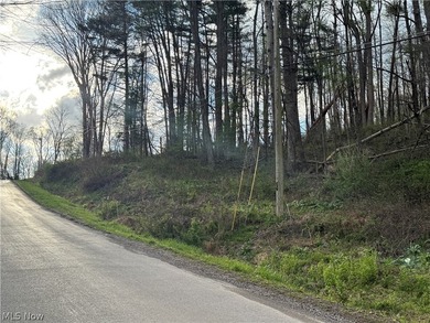 Wonderful building site of 4 lots very near popular Recreational - photo 21