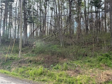 Wonderful building site of 4 lots very near popular Recreational - photo 22