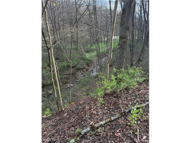 Wonderful building site of 4 lots very near popular Recreational - photo 24