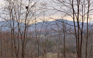 BEAUTIFULLY WOODED NORTH CAROLINA MOUNTAIN LOT! Located within - Lake Lot For Sale in Hayesville, North Carolina