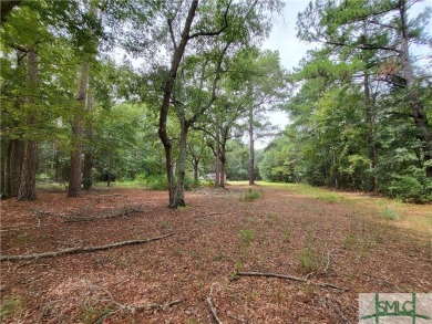 (private lake, pond, creek) Lot For Sale in Bloomingdale Georgia