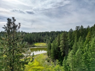 (private lake, pond, creek) Lot For Sale in Kalispell Montana