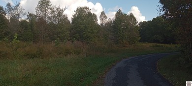Lake Acreage For Sale in Eddyville, Kentucky