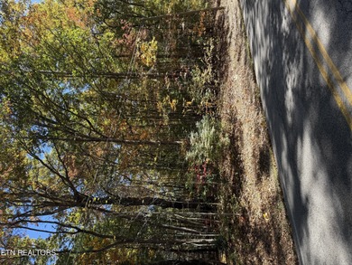 Saint George Lake Lot For Sale in Crossville Tennessee