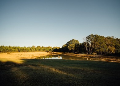 WELCOME TO A PREMIER HUNTING AND RECREATIONAL PROPERTY IN THE - photo 11