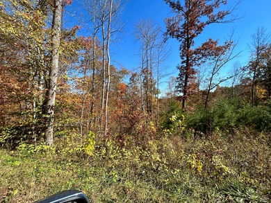 Lake Cumberland Lot For Sale in Somerset Kentucky