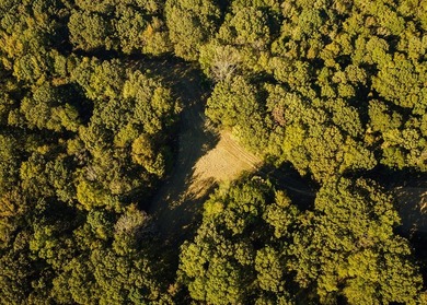 WELCOME TO A PREMIER HUNTING AND RECREATIONAL PROPERTY IN THE - photo 28