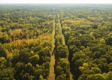 WELCOME TO A PREMIER HUNTING AND RECREATIONAL PROPERTY IN THE - photo 31