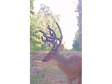 WELCOME TO A PREMIER HUNTING AND RECREATIONAL PROPERTY IN THE - photo 32