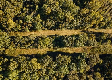 WELCOME TO A PREMIER HUNTING AND RECREATIONAL PROPERTY IN THE - photo 38