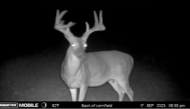 WELCOME TO A PREMIER HUNTING AND RECREATIONAL PROPERTY IN THE - photo 39