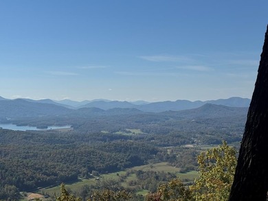 Lake Acreage For Sale in Hayesville, North Carolina