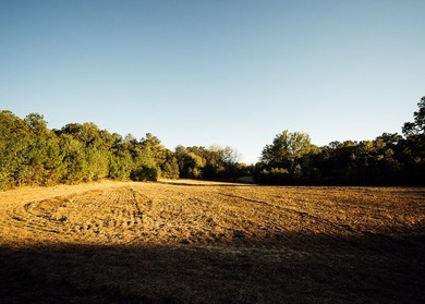 WELCOME TO A PREMIER HUNTING AND RECREATIONAL PROPERTY IN THE - photo 42