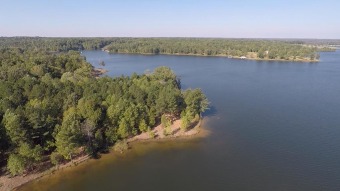Lake Lot Off Market in Huntingdon, Tennessee