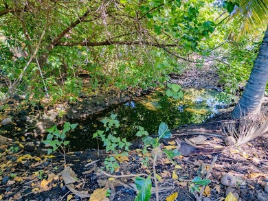 Rarely available land lot now offered for purchase in the - photo 16