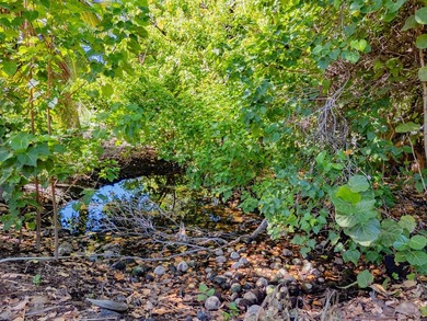 Rarely available land lot now offered for purchase in the - photo 17