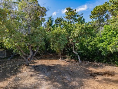 Rarely available land lot now offered for purchase in the - photo 21