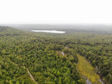 (private lake, pond, creek) Acreage For Sale in Guilford Maine