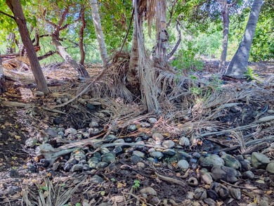 Rarely available land lot now offered for purchase in the - photo 23