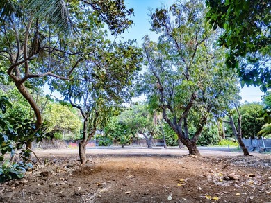 Rarely available land lot now offered for purchase in the - photo 24
