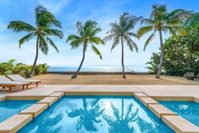 A rare find with beautiful Atlantic ocean view, luxury - photo 1